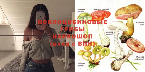 таблы Алзамай