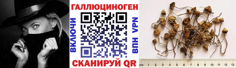Псилоцибиновые грибы мухоморы Сасово